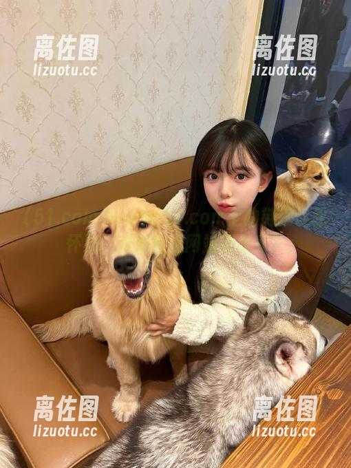 www.51.com上的链接让我怀疑，这到底是网站还是家？