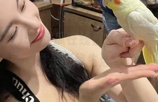 51吃瓜在线日常：瓜这东西，可以说是围绕生活在转。