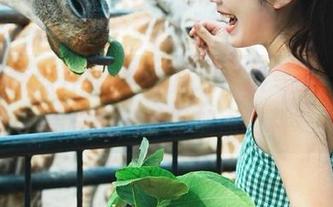 网曝吃瓜直达黑料专区，来，给你的八卦胃加点调料
